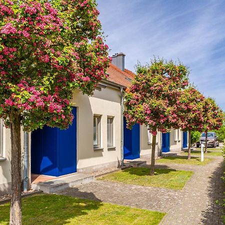 Apartment Biber Mit Terrasse Dewichow Esterno foto