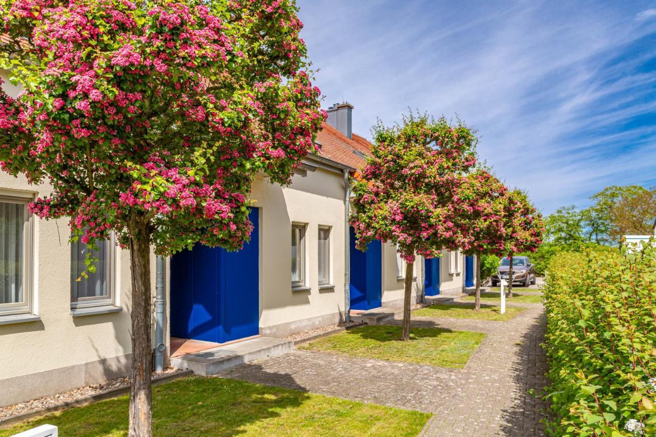 Apartment Biber Mit Terrasse Dewichow Esterno foto